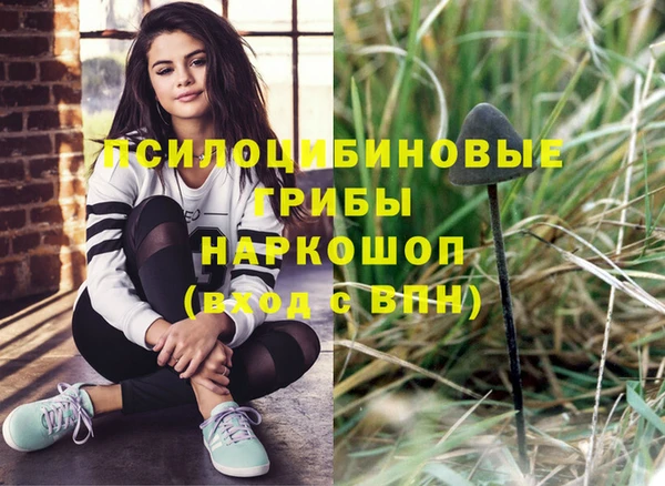 Альфа ПВП Абаза
